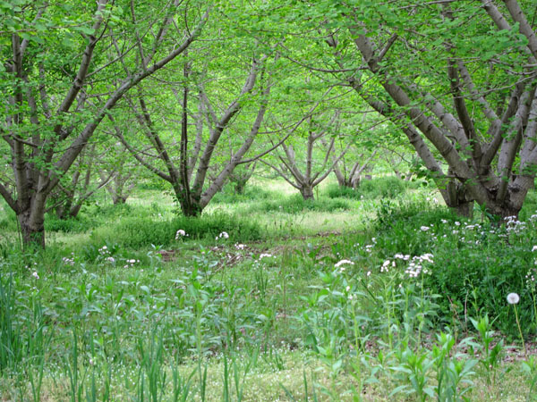 f0147025_16295383.jpg