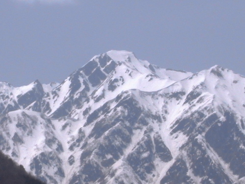 a0156526_783969.jpg