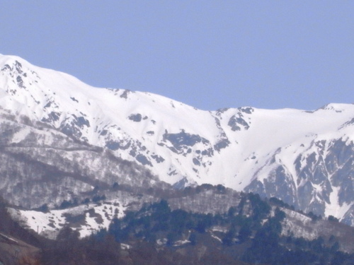 a0156526_794762.jpg
