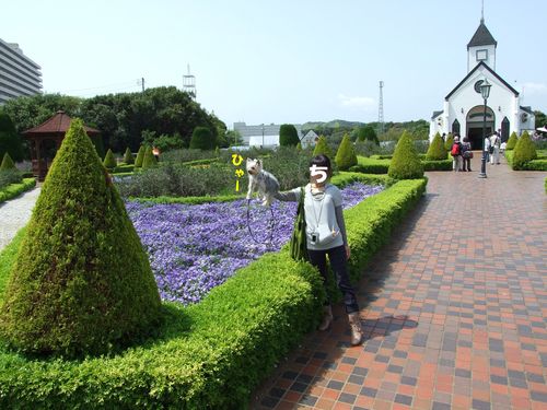 d0179828_812866.jpg