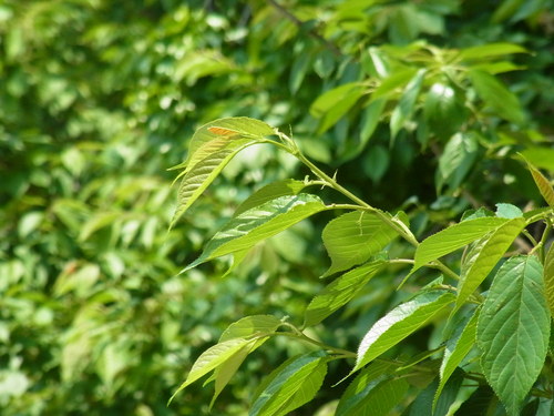 b0159631_1185161.jpg