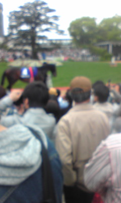 c0227233_13535521.jpg