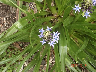 c0147935_21594762.jpg