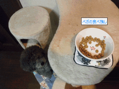 c0136736_9395724.gif
