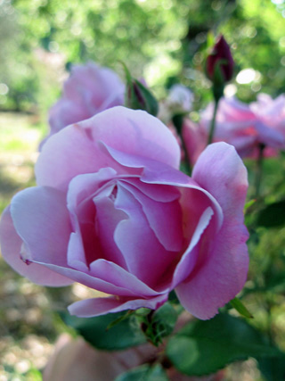 f0234936_0501447.jpg