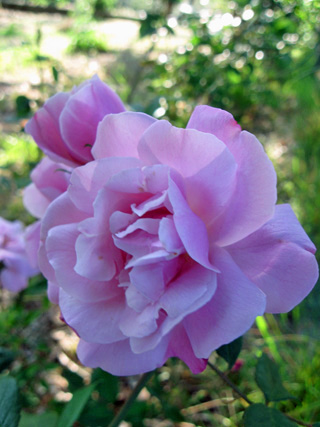 f0234936_051637.jpg
