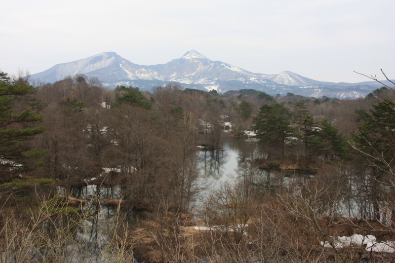 c0174937_2133561.jpg