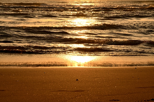 e0055138_6451262.jpg