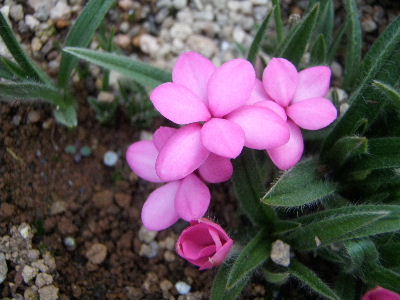 a0054240_22133514.jpg