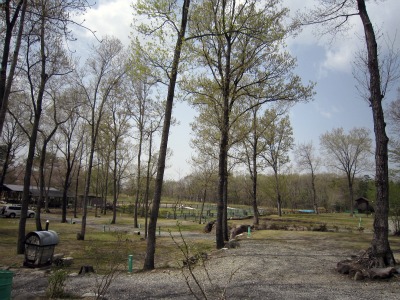 a0142343_131926.jpg