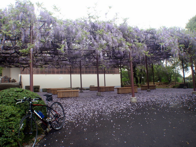 b0168843_1059589.jpg