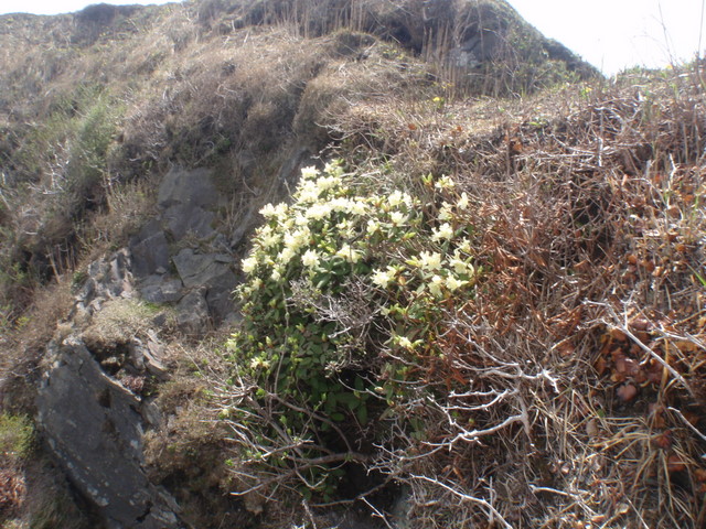 b0168843_1185566.jpg