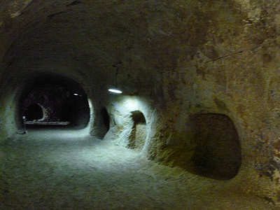 d0039443_2214521.jpg