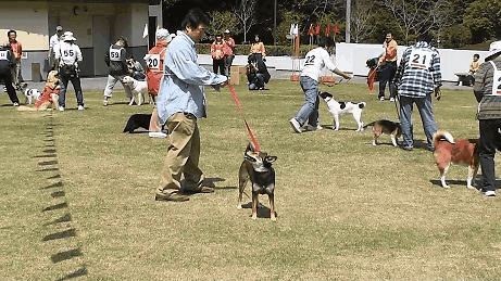 a0143744_20455082.gif