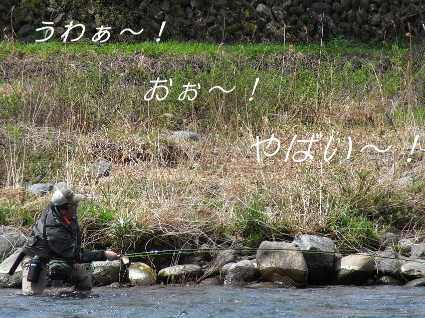 b0165444_801326.jpg