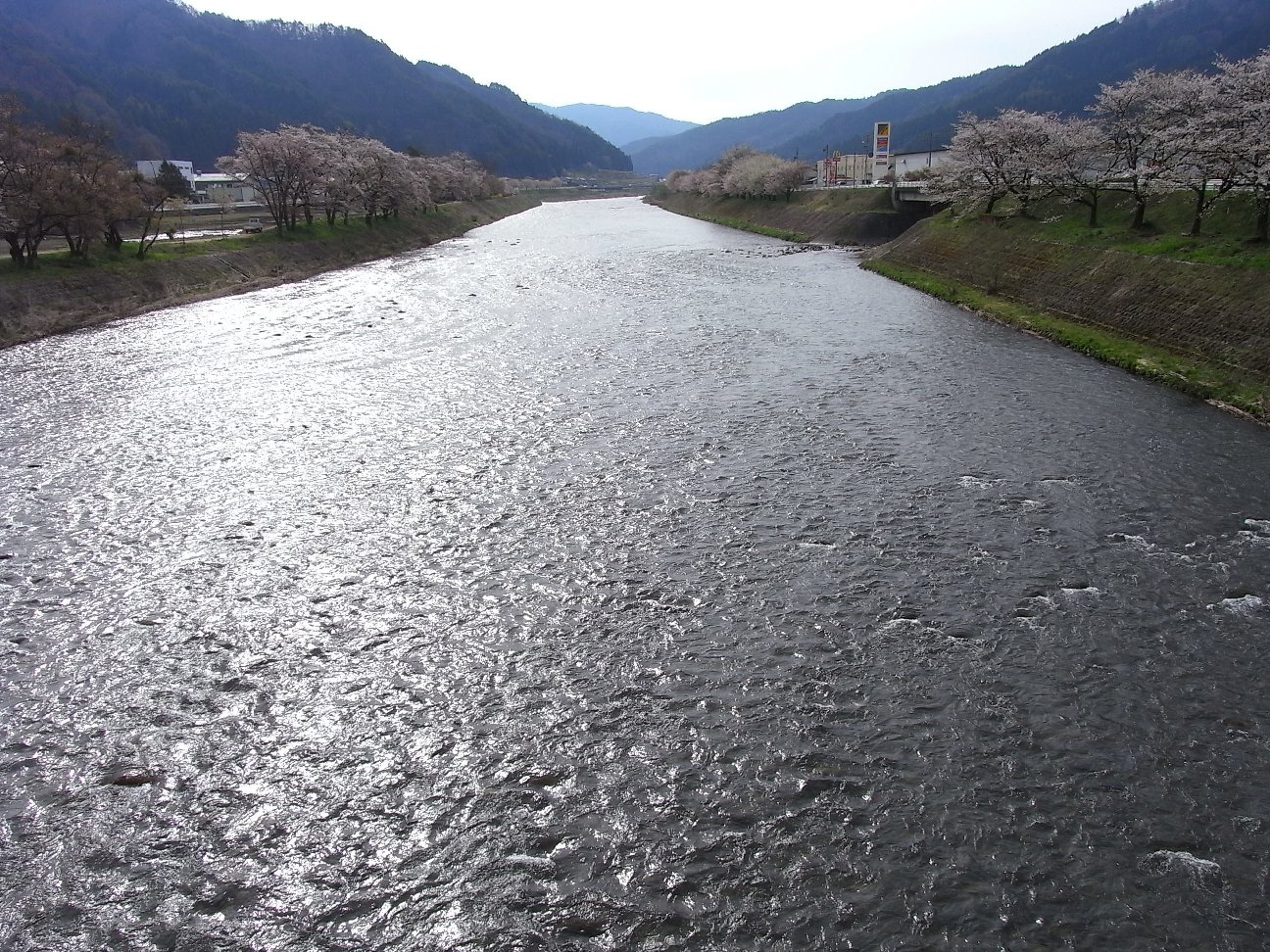 b0165444_8281010.jpg