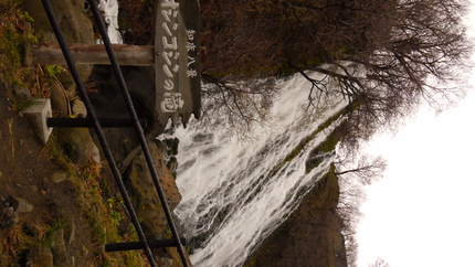 b0107246_14392463.jpg