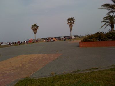 b0005652_2035896.jpg