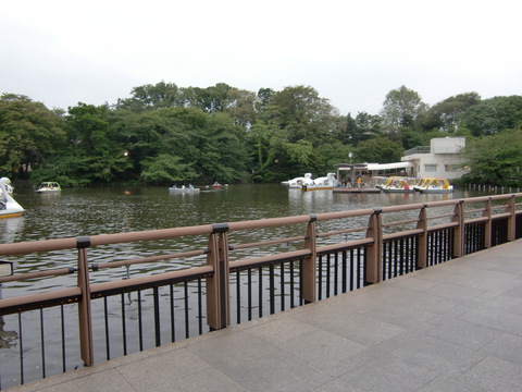 c0206352_114963.jpg