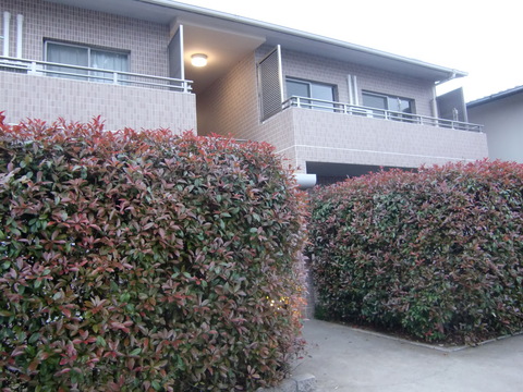 c0206352_1152069.jpg