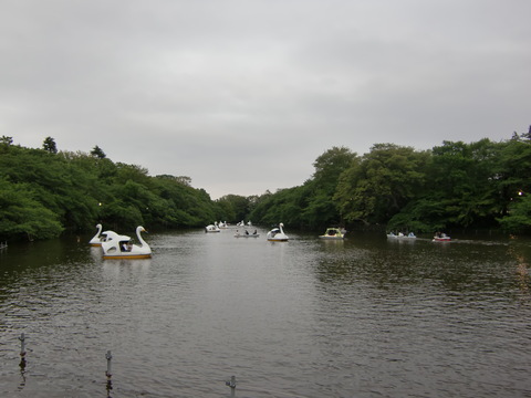 c0206352_124173.jpg