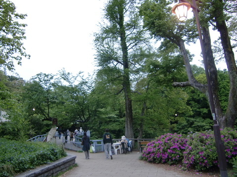 c0206352_135295.jpg