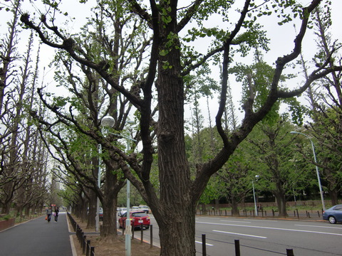 c0206352_2265539.jpg
