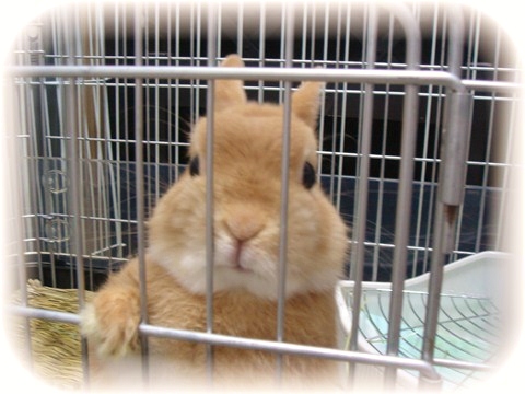 c0032257_8131589.jpg