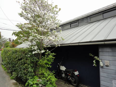 a0181459_11211458.jpg