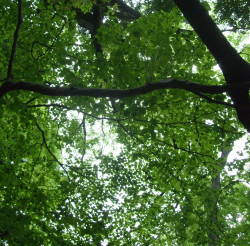 f0223360_2344510.jpg