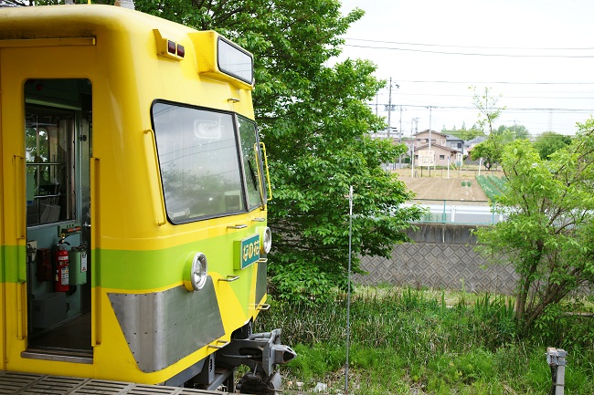 d0164962_1622773.jpg
