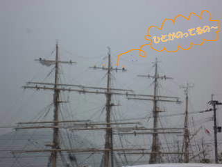 e0125465_1282358.jpg
