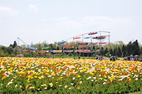 b0091866_9215588.jpg