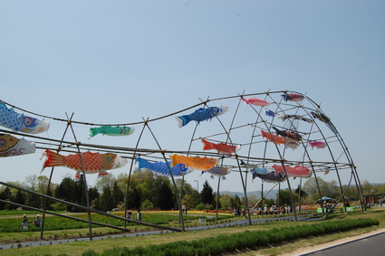 b0091866_93152.jpg