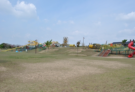 c0099967_1158547.jpg