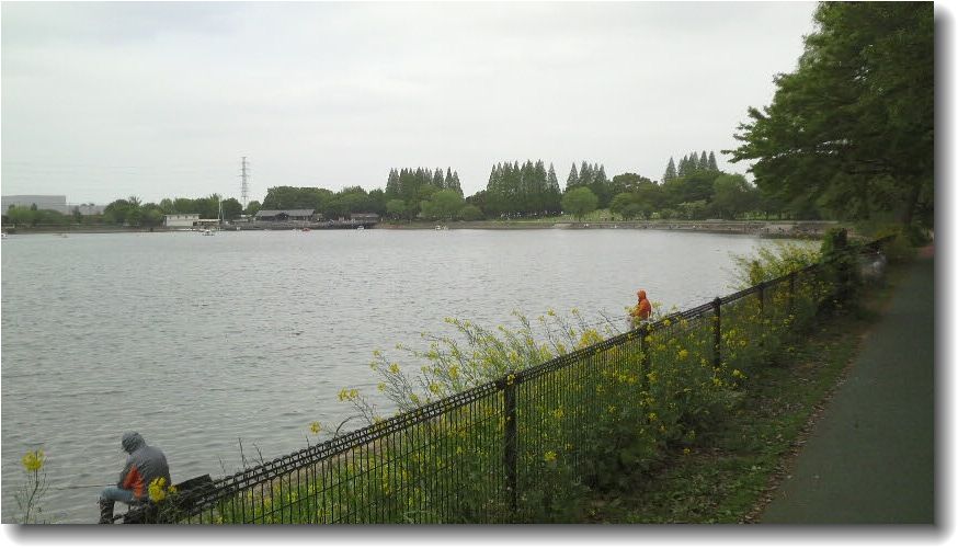 f0065167_1494180.jpg