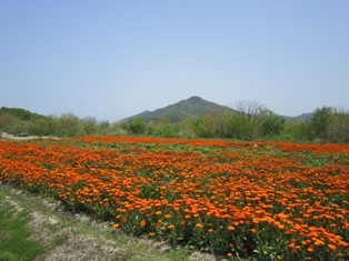 a0126871_8441744.jpg