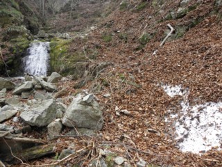 d0134473_16284428.jpg