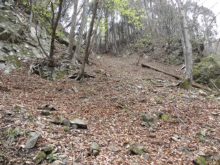d0134473_16303458.jpg