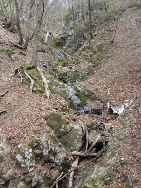 d0134473_16432454.jpg