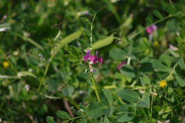 f0054677_5353956.jpg