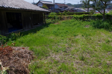 f0054677_535514.jpg