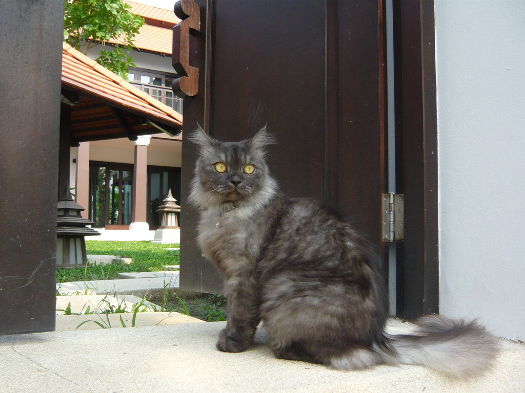 f0178278_05615.jpg