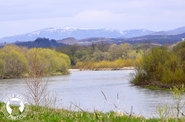 f0210380_12401693.jpg