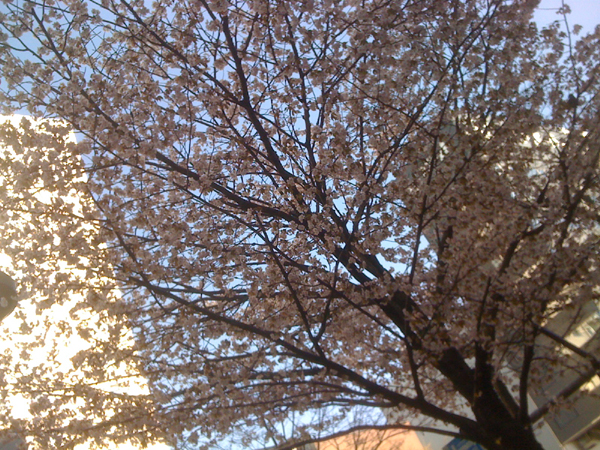 f0141581_154142.jpg