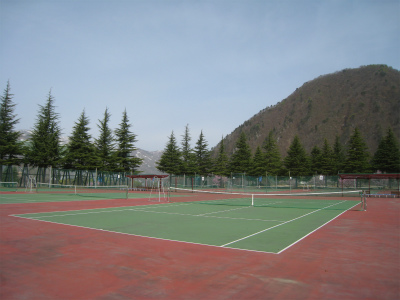 a0038882_944135.jpg
