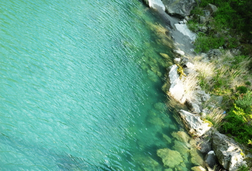 d0179983_2061610.jpg