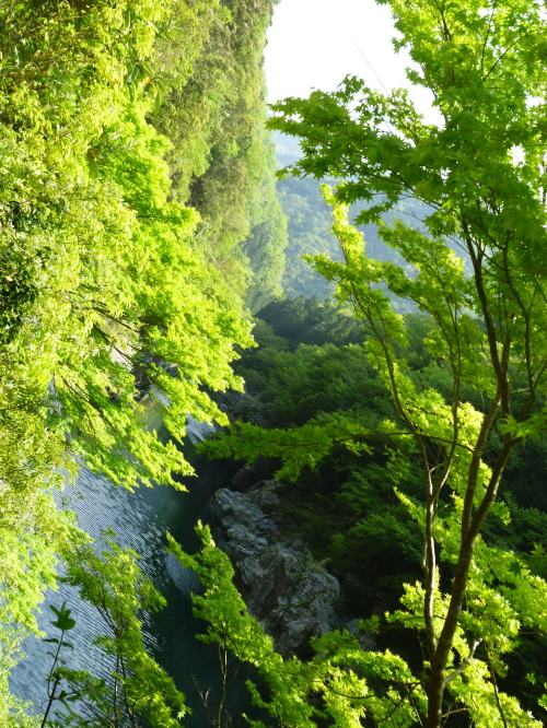 d0179983_206529.jpg