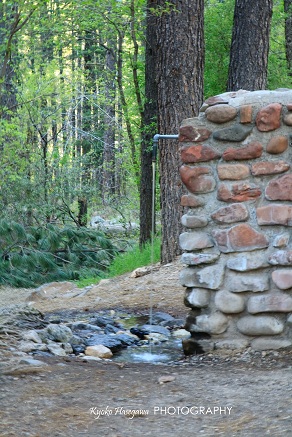 e0148185_13523620.jpg