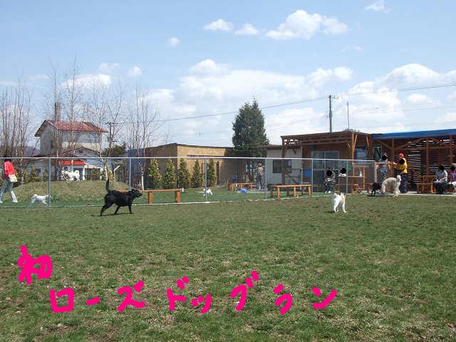 e0160787_20554837.jpg